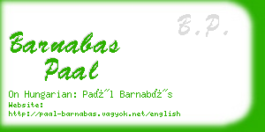 barnabas paal business card